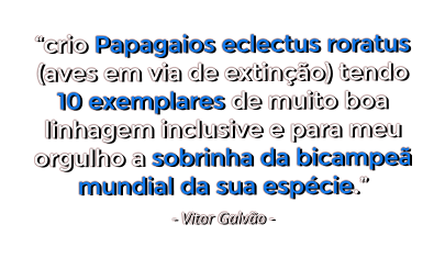 crio Papagaios eclectus roratus (aves em via de extino) tendo 10 exemplares de muito boa linhagem inclusive e para meu orgulho a sobrinha da bicampe mundial da sua espcie. - Vitor Galvo -